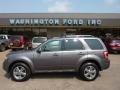 2009 Sterling Grey Metallic Ford Escape Limited V6 4WD  photo #1