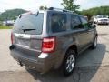 2009 Sterling Grey Metallic Ford Escape Limited V6 4WD  photo #4