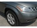 2005 Platinum Metallic Nissan Murano SL AWD  photo #6