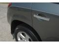 2005 Platinum Metallic Nissan Murano SL AWD  photo #9