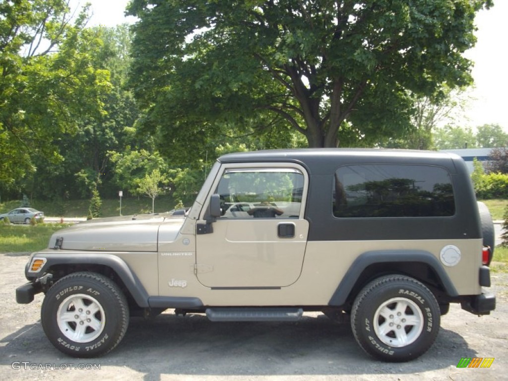 2004 Wrangler Unlimited 4x4 - Light Khaki Metallic / Dark Slate Gray photo #3