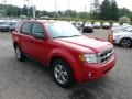 2009 Torch Red Ford Escape XLT 4WD  photo #6