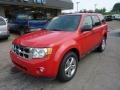 2009 Torch Red Ford Escape XLT 4WD  photo #8