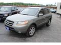 2008 Platinum Sage Hyundai Santa Fe Limited  photo #2