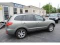 2008 Platinum Sage Hyundai Santa Fe Limited  photo #10