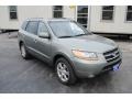 2008 Platinum Sage Hyundai Santa Fe Limited  photo #11