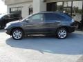 Smokey Granite - RX 350 AWD Photo No. 7