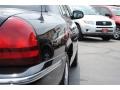 Black Clearcoat - Grand Marquis GS Photo No. 9