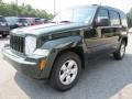 2010 Natural Green Pearl Jeep Liberty Sport  photo #3