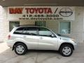 Titanium Metallic - RAV4 4WD Photo No. 1