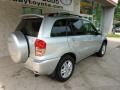 Titanium Metallic - RAV4 4WD Photo No. 2