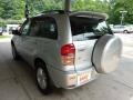 Titanium Metallic - RAV4 4WD Photo No. 4