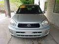 Titanium Metallic - RAV4 4WD Photo No. 6