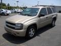 Sandstone Metallic - TrailBlazer LS 4x4 Photo No. 1