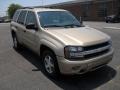 Sandstone Metallic - TrailBlazer LS 4x4 Photo No. 5