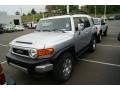 Titanium Metallic - FJ Cruiser 4WD Photo No. 4
