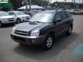 Steel Blue - Santa Fe GLS 4WD Photo No. 6