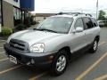 Pewter - Santa Fe GLS 4WD Photo No. 1