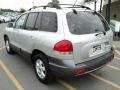 Pewter - Santa Fe GLS 4WD Photo No. 7