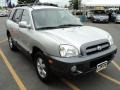 Pewter - Santa Fe GLS 4WD Photo No. 11