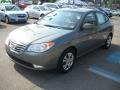 Natural Khaki - Elantra GLS Photo No. 6