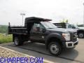 2011 Tuxedo Black Metallic Ford F450 Super Duty XL Regular Cab 4x4 Dually Dump Truck  photo #1