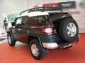 Black Cherry Pearl - FJ Cruiser 4WD Photo No. 6