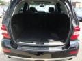 Black - ML 350 4Matic Photo No. 47