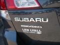 2010 Graphite Gray Metallic Subaru Outback 2.5i Premium Wagon  photo #12