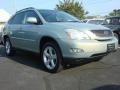 2004 Bamboo Pearl Lexus RX 330  photo #1