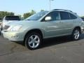 2004 Bamboo Pearl Lexus RX 330  photo #5