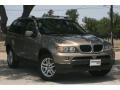 Kalahari Beige Metallic - X5 3.0i Photo No. 1