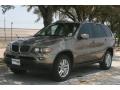 Kalahari Beige Metallic - X5 3.0i Photo No. 2