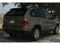 Kalahari Beige Metallic - X5 3.0i Photo No. 3