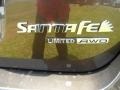 2011 Hyundai Santa Fe Limited AWD Marks and Logos