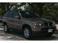 Kalahari Beige Metallic - X5 3.0i Photo No. 11