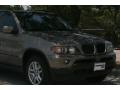 Kalahari Beige Metallic - X5 3.0i Photo No. 12