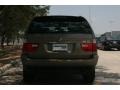 Kalahari Beige Metallic - X5 3.0i Photo No. 14