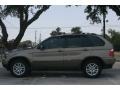 Kalahari Beige Metallic - X5 3.0i Photo No. 17