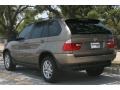 Kalahari Beige Metallic - X5 3.0i Photo No. 18