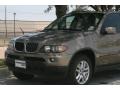 Kalahari Beige Metallic - X5 3.0i Photo No. 20