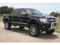 2010 Tuxedo Black Ford F150 Platinum SuperCrew 4x4  photo #2