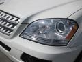 Arctic White - ML 350 4Matic Photo No. 22