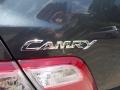 Magnetic Gray Metallic - Camry XLE Photo No. 7