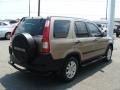 Sahara Sand Metallic - CR-V EX 4WD Photo No. 4