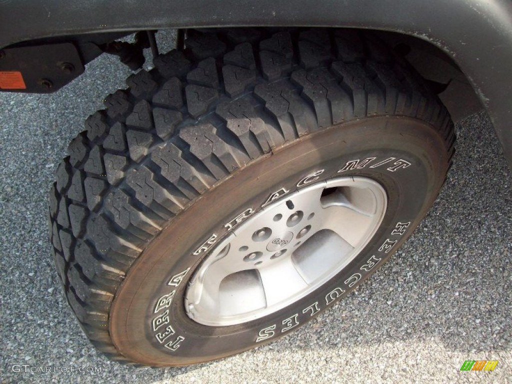 2001 Wrangler Sport 4x4 - Steel Blue Pearl / Agate Black photo #4