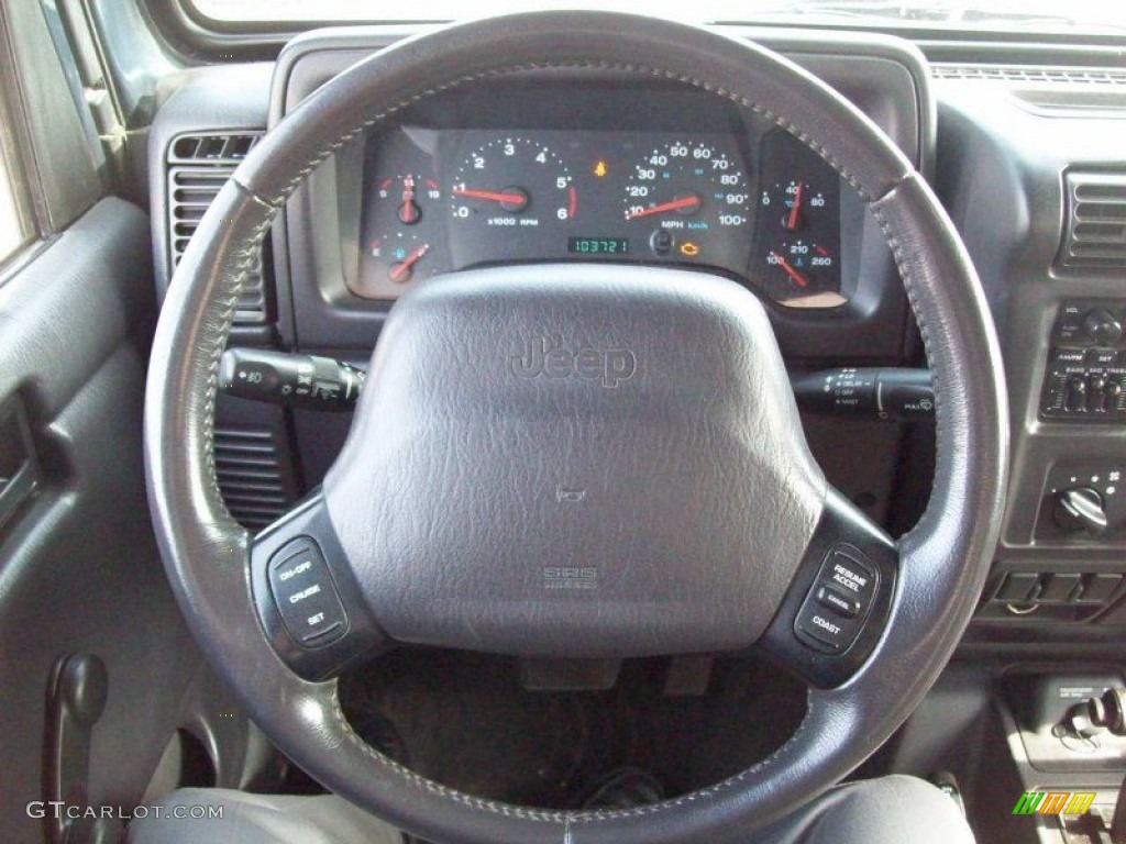 2001 Wrangler Sport 4x4 - Steel Blue Pearl / Agate Black photo #8
