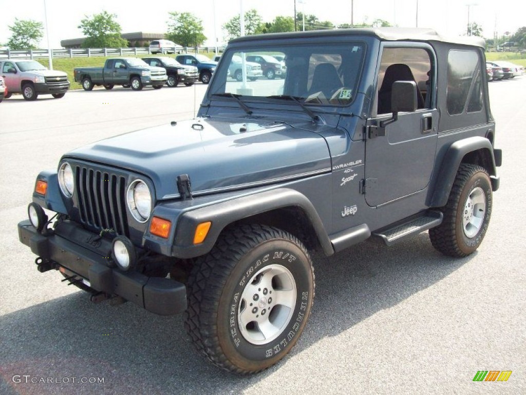 2001 Wrangler Sport 4x4 - Steel Blue Pearl / Agate Black photo #11