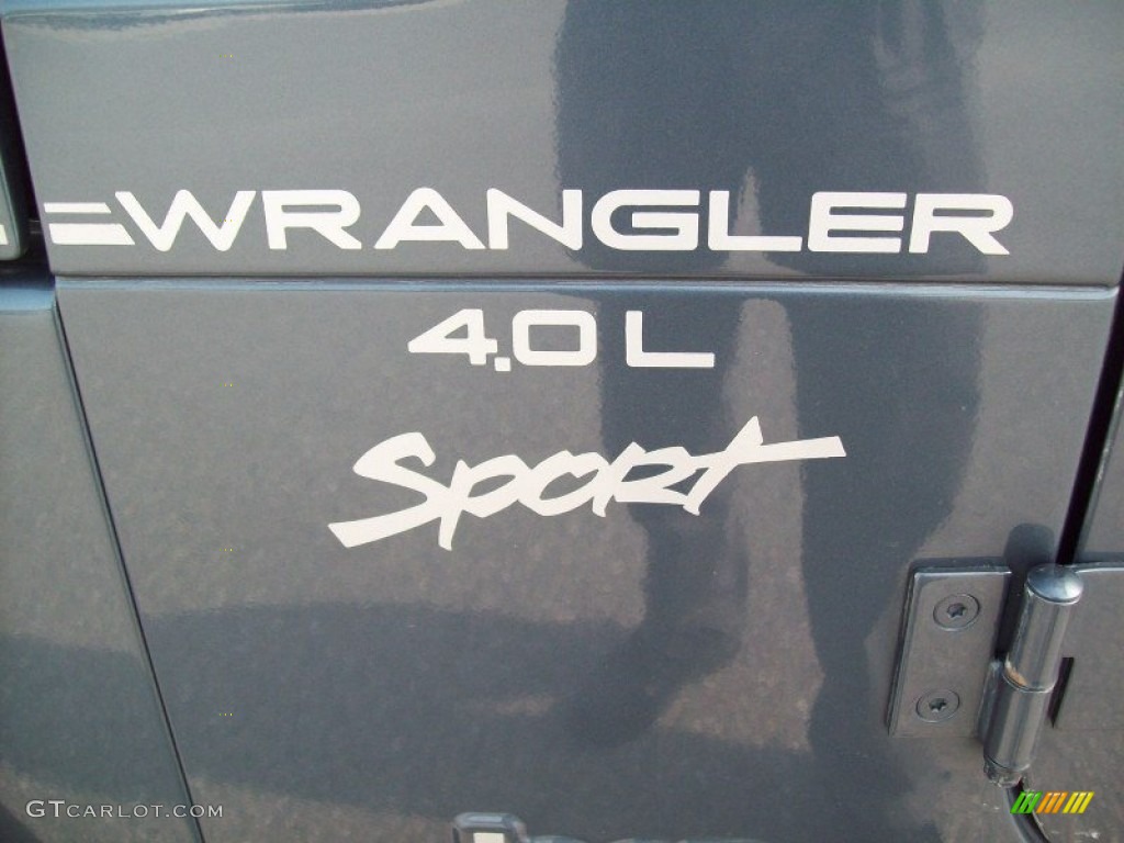 2001 Wrangler Sport 4x4 - Steel Blue Pearl / Agate Black photo #23