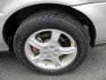 Silverstone Metallic - Uplander LS Photo No. 13